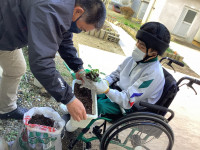 ④苗を手に取って