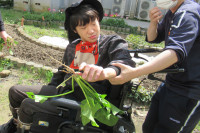 ④