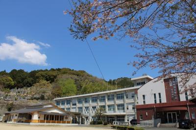 校門横の桜