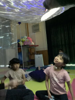 お魚が泳いでる