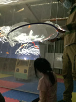魚がいるよ