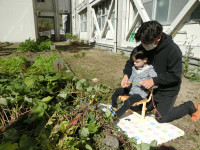 いもをひいたよ１