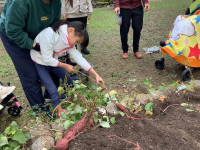 芋を引いたよ４